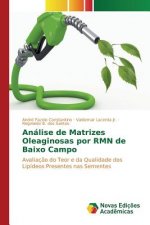 Analise de Matrizes Oleaginosas por RMN de Baixo Campo