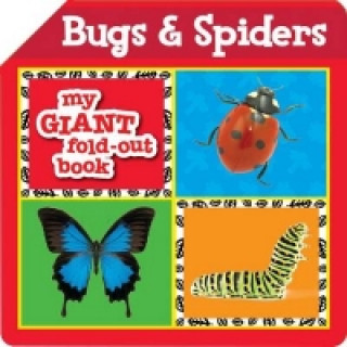 My Giant Fold Out Bugs & Spiders