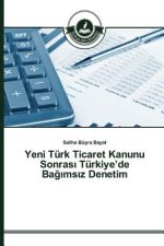 Yeni Turk Ticaret Kanunu Sonrası Turkiye'de Bağımsız Denetim
