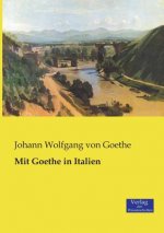 Mit Goethe in Italien