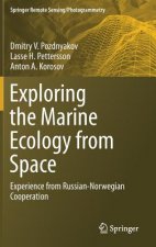 Exploring the Marine Ecology from Space