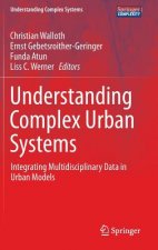 Understanding Complex Urban Systems