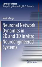 Neuronal Network Dynamics in 2D and 3D in vitro Neuroengineered Systems