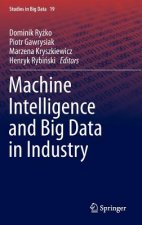 Machine Intelligence and Big Data in Industry