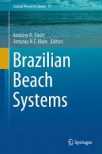 Brazilian Beach Systems