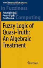 Fuzzy Logic of Quasi-Truth: An Algebraic Treatment