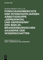 Forschungsberichte der interdisziplinaren Arbeitsgruppe Gemeinwohl und Gemeinsinn der Berlin-Brandenburgischen Akademie der Wissenschaften, Band 1, Ge