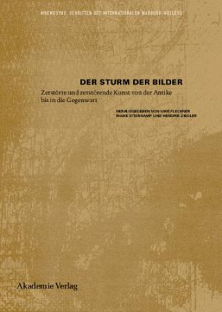 Der Sturm der Bilder