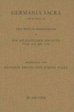 Bistum Hildesheim
