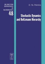 Stochastic Dynamics and Boltzmann Hierarchy