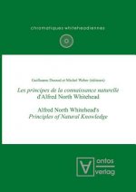 Les Principes de la Connaissance Naturelle d'Alfred North Whitehead