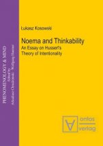 Noema and Thinkability