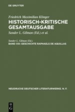 Historisch-kritische Gesamtausgabe, Band XIII, Geschichte Raphaels de Aquillas