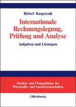 Internationale Rechnungslegung, Prufung und Analyse