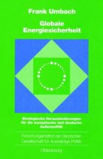 Globale Energiesicherheit
