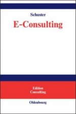 E-Consulting