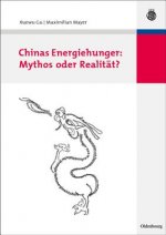 Chinas Energiehunger