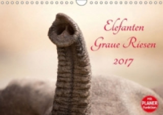 Elefanten - Graue Riesen (Wandkalender 2017 DIN A4 quer)