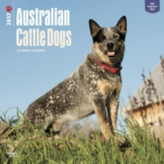 Australian Cattle Dogs 2017 - Australische Cattle Dogs - 18-Monatskalender mit freier DogDays-App