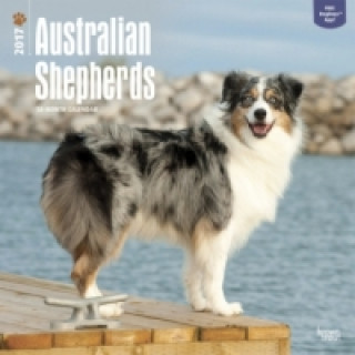 Australian Shepherds - Australische Schäferhunde 2017 - 18-Monatskalender mit freier DogDays-App
