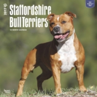 Staffordshire Bull Terriers - Bull Terrier 2017 - 18-Monatskalender mit freier DogDays-App