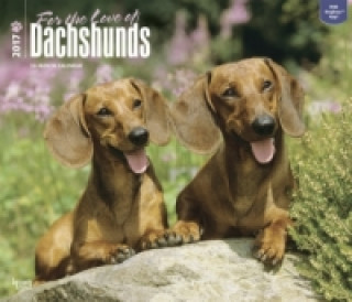 Dachshunds - For the Love of 2017 - Dackel