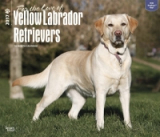 Yellow Labrador Retriever - For the Love of - Weiße Labradore 2017 - 18-Monatskalender mit freier DogDays-App