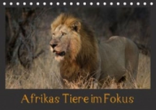 Afrikas Tiere im FokusAT-Version (Tischkalender 2017 DIN A5 quer)