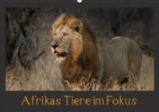 Afrikas Tiere im FokusAT-Version (Wandkalender 2017 DIN A2 quer)