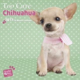 Too Cute Chihuahua - Chihuahuas 2017 - 18-Monatskalender