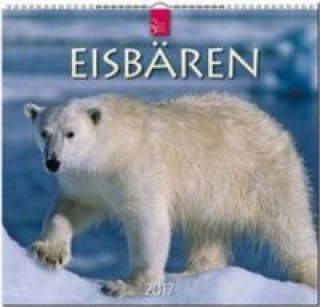 Eisbären 2017