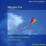 Wie eine Eins, 1 Audio-CD