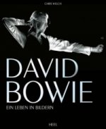 David Bowie