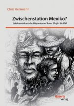Zwischenstation Mexiko? Lateinamerikanische Migranten auf ihrem Weg in die USA