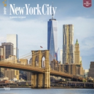 New York City - New York 2017 - 18-Monatskalender mit freier TravelDays-App