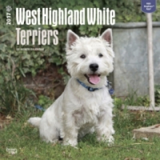 West Highland White Terriers - Westies 2017 - 18-Monatskalender mit freier DogDays-App