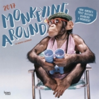 Monkeying Around - Schimpansen 2017 - 18-Monatskalender