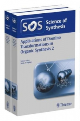 Applications of Domino Transformations in Organic Synthesis, Workbench Edition