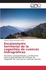 Escalamiento territorial de la cogestion de cuencas hidrograficas