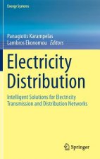 Electricity Distribution