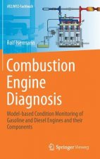 Combustion Engine Diagnosis