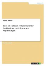 Basel III. Stabilität systemrelevanter Bankinstitute nach den neuen Regulierungen