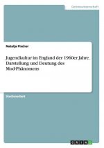Jugendkultur im England der 1960er Jahre. Darstellung und Deutung des Mod-Phanomens