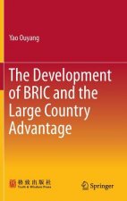 Development of BRIC and the Large Country Advantage