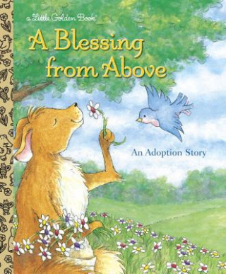 Blessing from Above