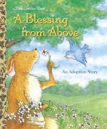 Blessing from Above