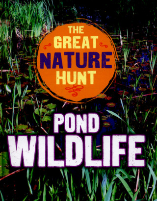 Great Nature Hunt: Pond Wildlife