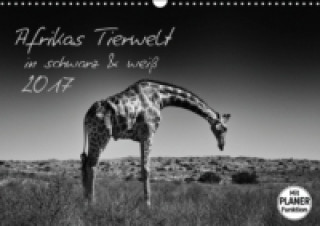 Afrikas Tierwelt in schwarz & weiß (Wandkalender 2017 DIN A3 quer)