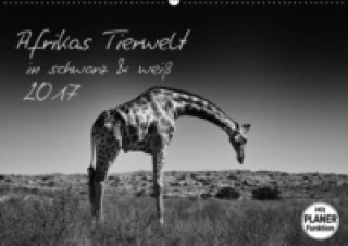 Afrikas Tierwelt in schwarz & weiß (Wandkalender 2017 DIN A2 quer)