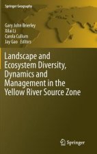 Landscape and Ecosystem Diversity, Dynamics and Management in the Yellow River Source Zone